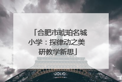 合肥市琥珀名城小学：探律动之美 研教学新思