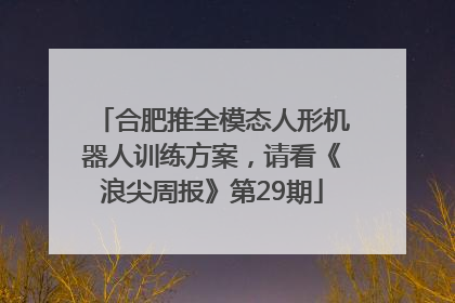 合肥推全模态人形机器人训练方案，请看《浪尖周报》第29期