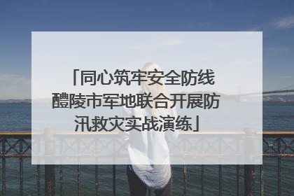 同心筑牢安全防线 醴陵市军地联合开展防汛救灾实战演练