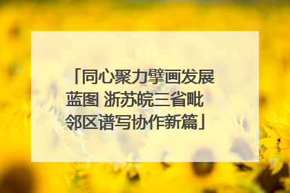 同心聚力擘画发展蓝图 浙苏皖三省毗邻区谱写协作新篇