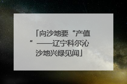 向沙地要“产值”——辽宁科尔沁沙地兴绿见闻