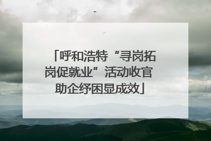 呼和浩特“寻岗拓岗促就业”活动收官 助企纾困显成效