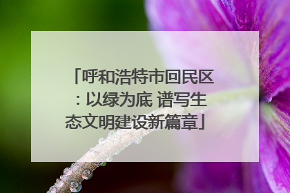 呼和浩特市回民区：以绿为底 谱写生态文明建设新篇章