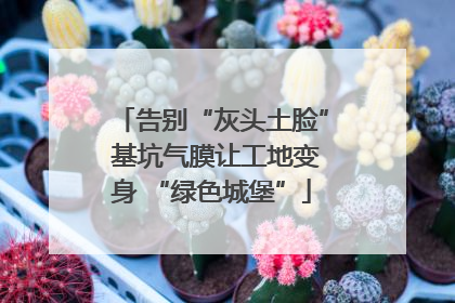 告别“灰头土脸” 基坑气膜让工地变身 “绿色城堡”