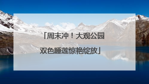 周末冲！大观公园双色睡莲惊艳绽放