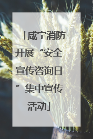 咸宁消防开展“安全宣传咨询日”集中宣传活动