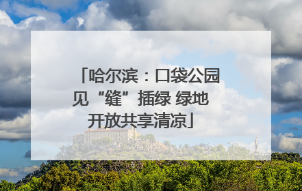 哈尔滨：口袋公园见“缝”插绿 绿地开放共享清凉
