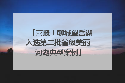 喜报！聊城望岳湖入选第二批省级美丽河湖典型案例
