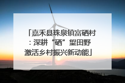 嘉禾县珠泉镇富硒村：深耕“硒”望田野 激活乡村振兴新动能