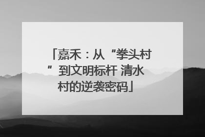 嘉禾：从“拳头村”到文明标杆 清水村的逆袭密码
