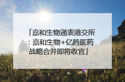 嘉和生物递表港交所：嘉和生物+亿腾医药战略合并即将收官