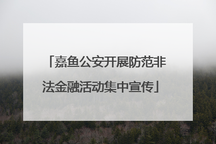 嘉鱼公安开展防范非法金融活动集中宣传