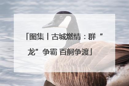 图集丨古城燃情：群“龙”争霸 百舸争渡