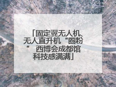 固定翼无人机、无人直升机“圈粉” 西博会成都馆科技感满满