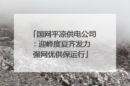 国网平凉供电公司：迎峰度夏齐发力 强网优供保运行