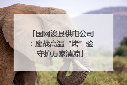 国网浚县供电公司：鏖战高温“烤”验 守护万家清凉