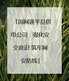 国网遂平县供电公司：强化安全意识 筑牢网安防线