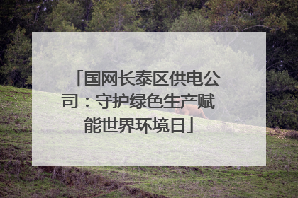 国网长泰区供电公司：守护绿色生产赋能世界环境日