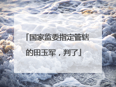 国家监委指定管辖的田玉军，判了