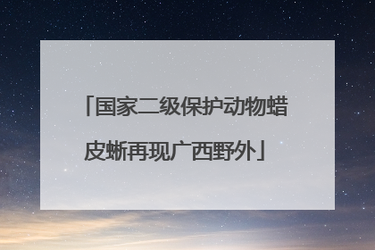 国家二级保护动物蜡皮蜥再现广西野外