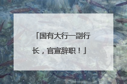 国有大行一副行长，官宣辞职！