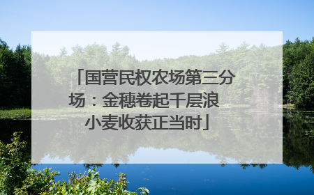 国营民权农场第三分场：金穗卷起千层浪 小麦收获正当时