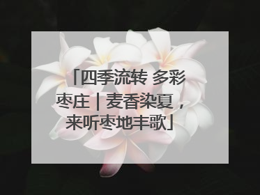 四季流转 多彩枣庄｜麦香染夏，来听枣地丰歌