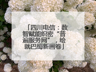 四川电信：数智赋能织密“普遍服务网”，绘就巴蜀新画卷