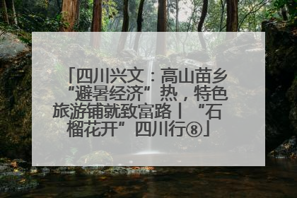 四川兴文：高山苗乡“避暑经济”热，特色旅游铺就致富路丨“石榴花开”四川行⑧