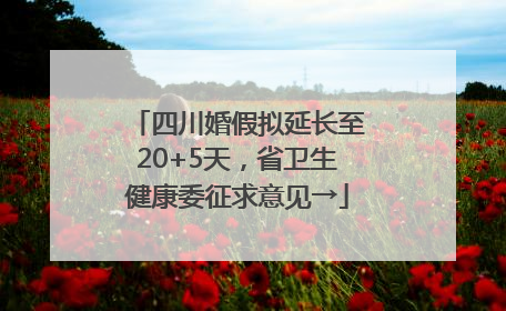 四川婚假拟延长至20+5天，省卫生健康委征求意见→