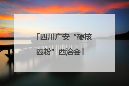 四川广安“硬核圈粉”西洽会