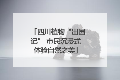 四川植物“出国记” 市民沉浸式体验自然之美