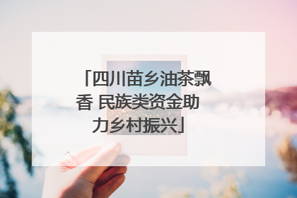 四川苗乡油茶飘香 民族类资金助力乡村振兴