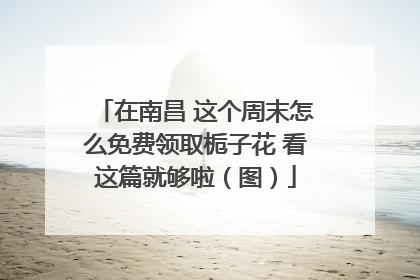 在南昌 这个周末怎么免费领取栀子花 看这篇就够啦（图）