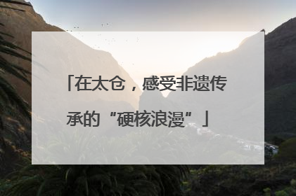 在太仓，感受非遗传承的“硬核浪漫”