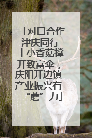 对口合作 津庆同行丨小香菇撑开致富伞，庆阳开边镇产业振兴有“蘑”力