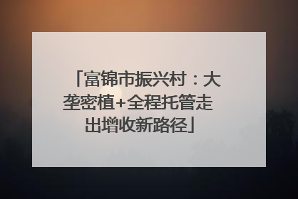 富锦市振兴村：大垄密植+全程托管走出增收新路径