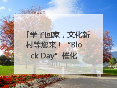 学子回家，文化新村等您来！“Block Day”催化学院式街区新生态