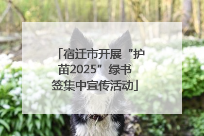 宿迁市开展“护苗2025”绿书签集中宣传活动