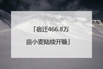 宿迁466.8万亩小麦陆续开镰
