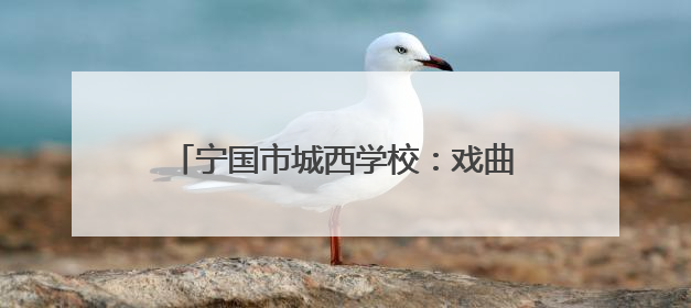 宁国市城西学校：戏曲进校园 文化润童心