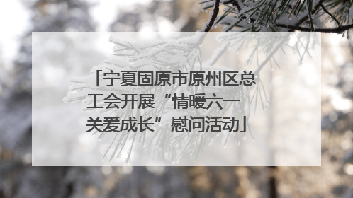 宁夏固原市原州区总工会开展“情暖六一 关爱成长”慰问活动