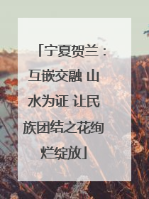 宁夏贺兰：互嵌交融 山水为证 让民族团结之花绚烂绽放