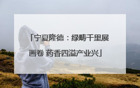 宁夏隆德：绿畴千里展画卷 药香四溢产业兴