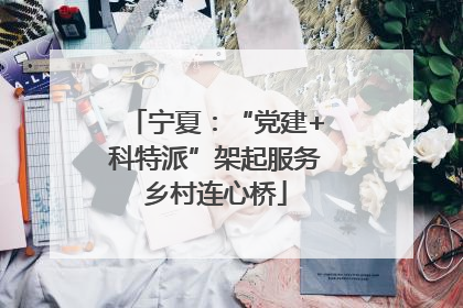 宁夏：“党建+科特派”架起服务乡村连心桥
