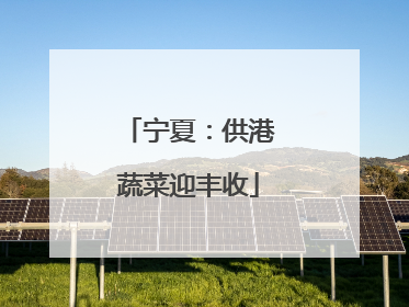 宁夏：供港蔬菜迎丰收