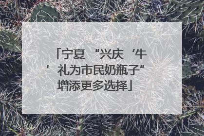 宁夏 “兴庆‘牛’礼为市民奶瓶子”增添更多选择