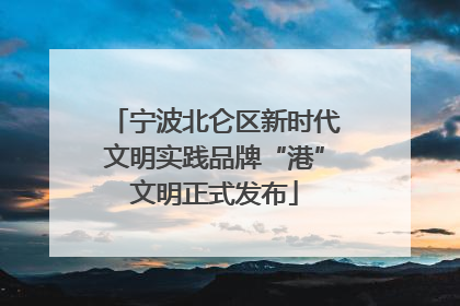 宁波北仑区新时代文明实践品牌“港”文明正式发布