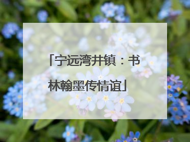 宁远湾井镇：书林翰墨传情谊