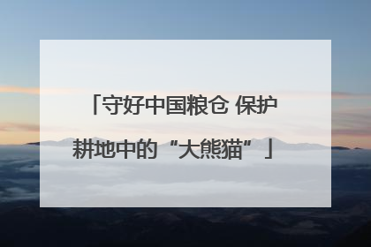 守好中国粮仓 保护耕地中的“大熊猫”